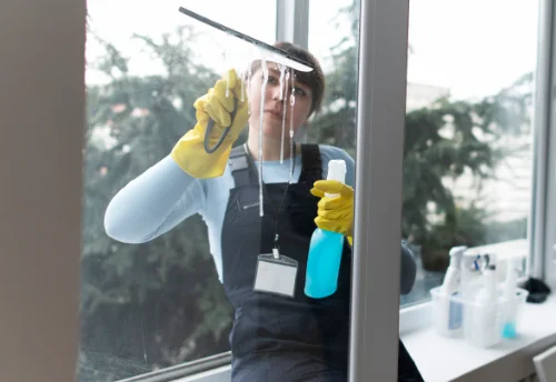 Nettoyage de vitres intérieures et extérieures à San-Martino-di-Lota